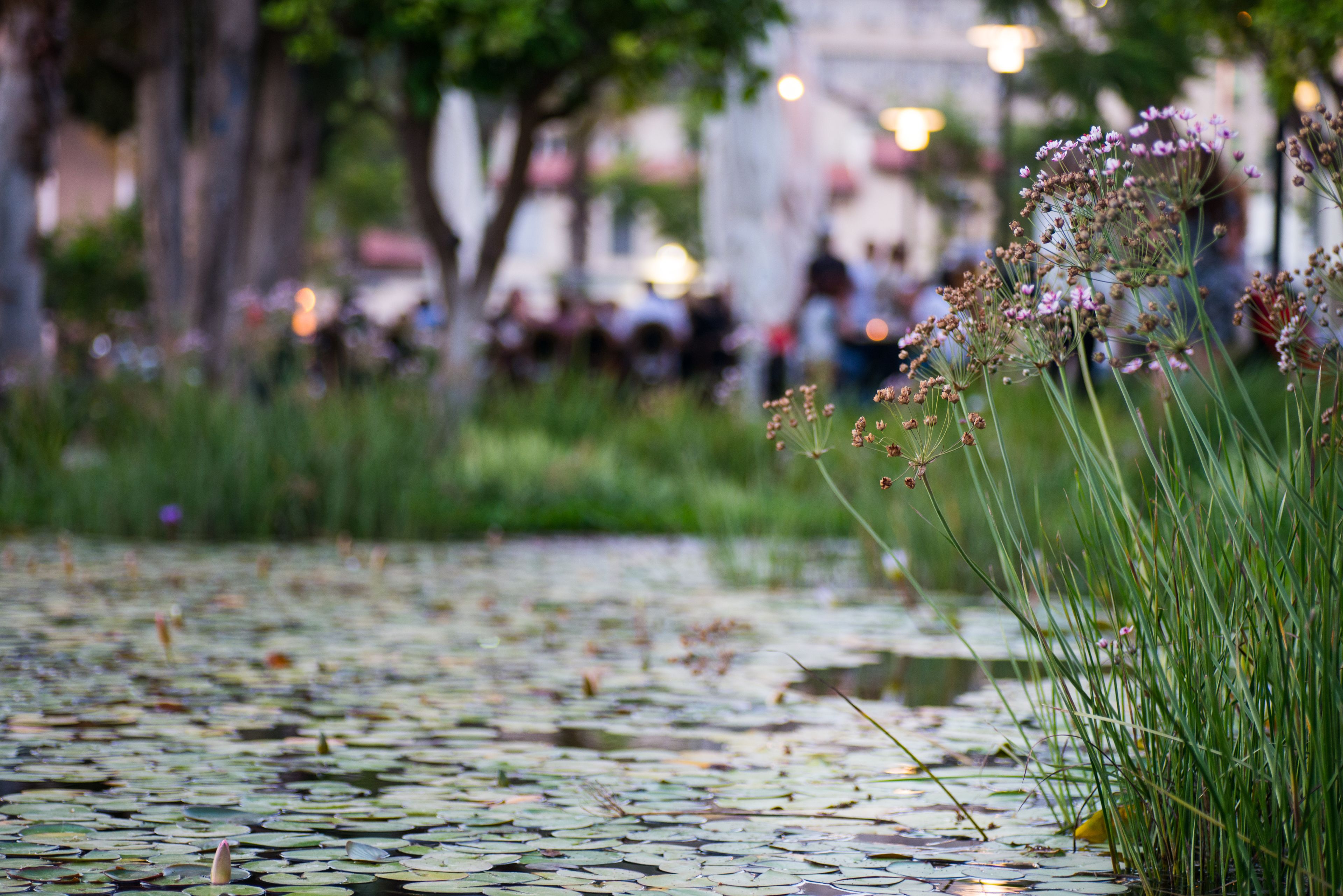 Foto - Hotel Rothschild 22 - FATTAL COLORS