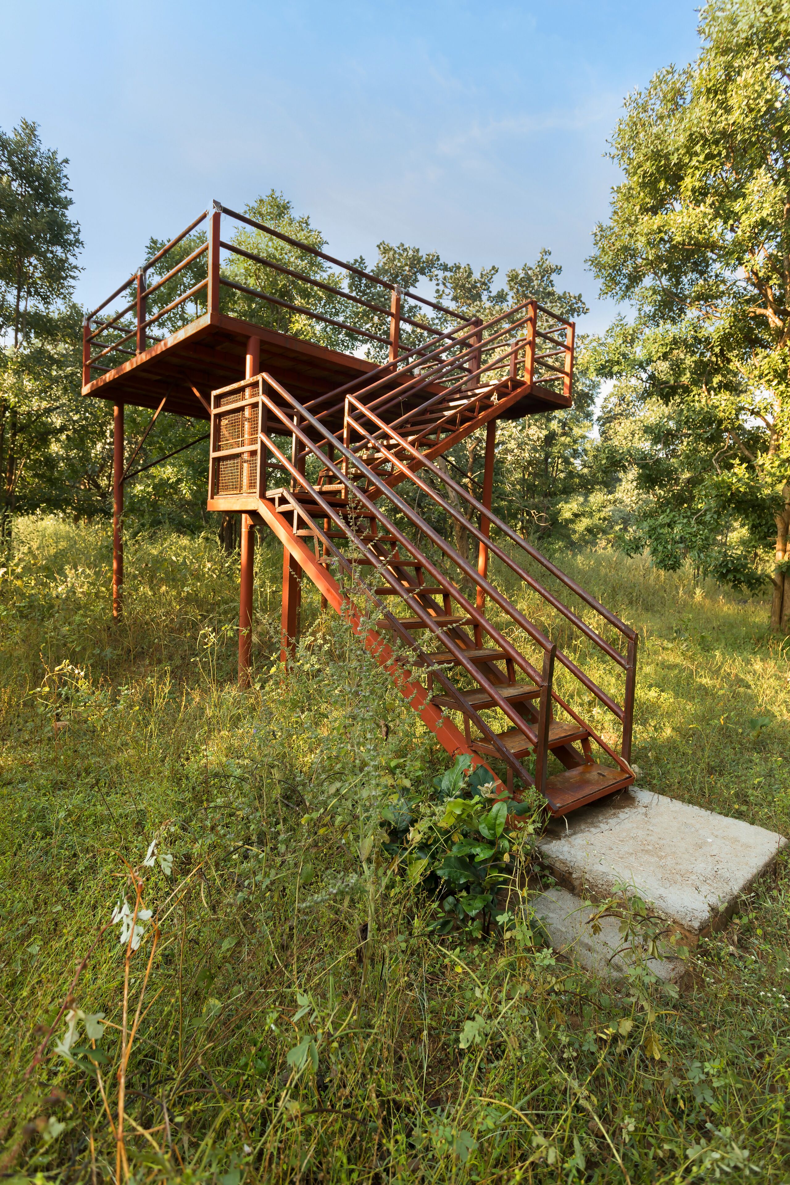 A metal staircase leading up to a platform in a grassy area with trees in the background.