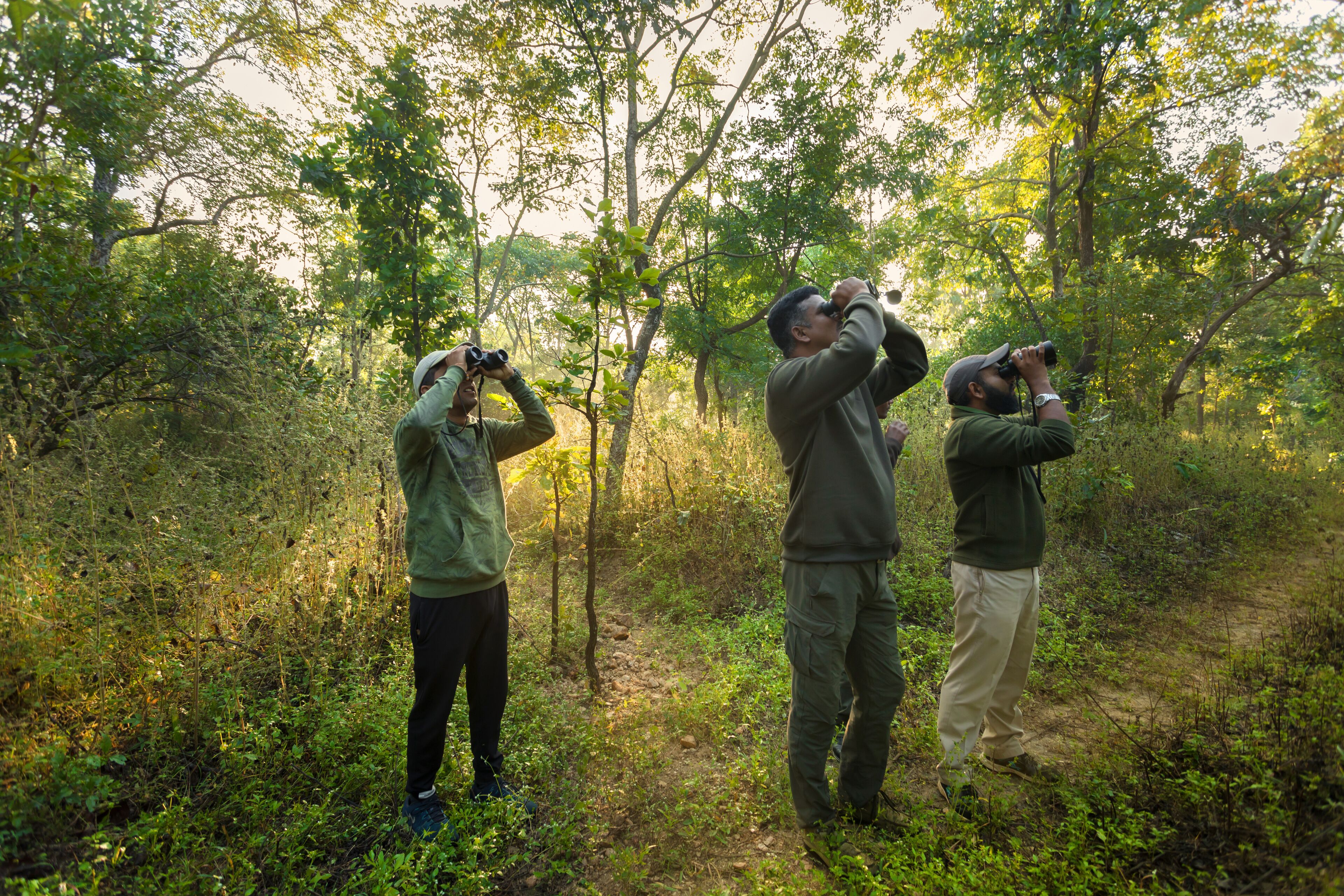 Three people taking photographs in a forested area.