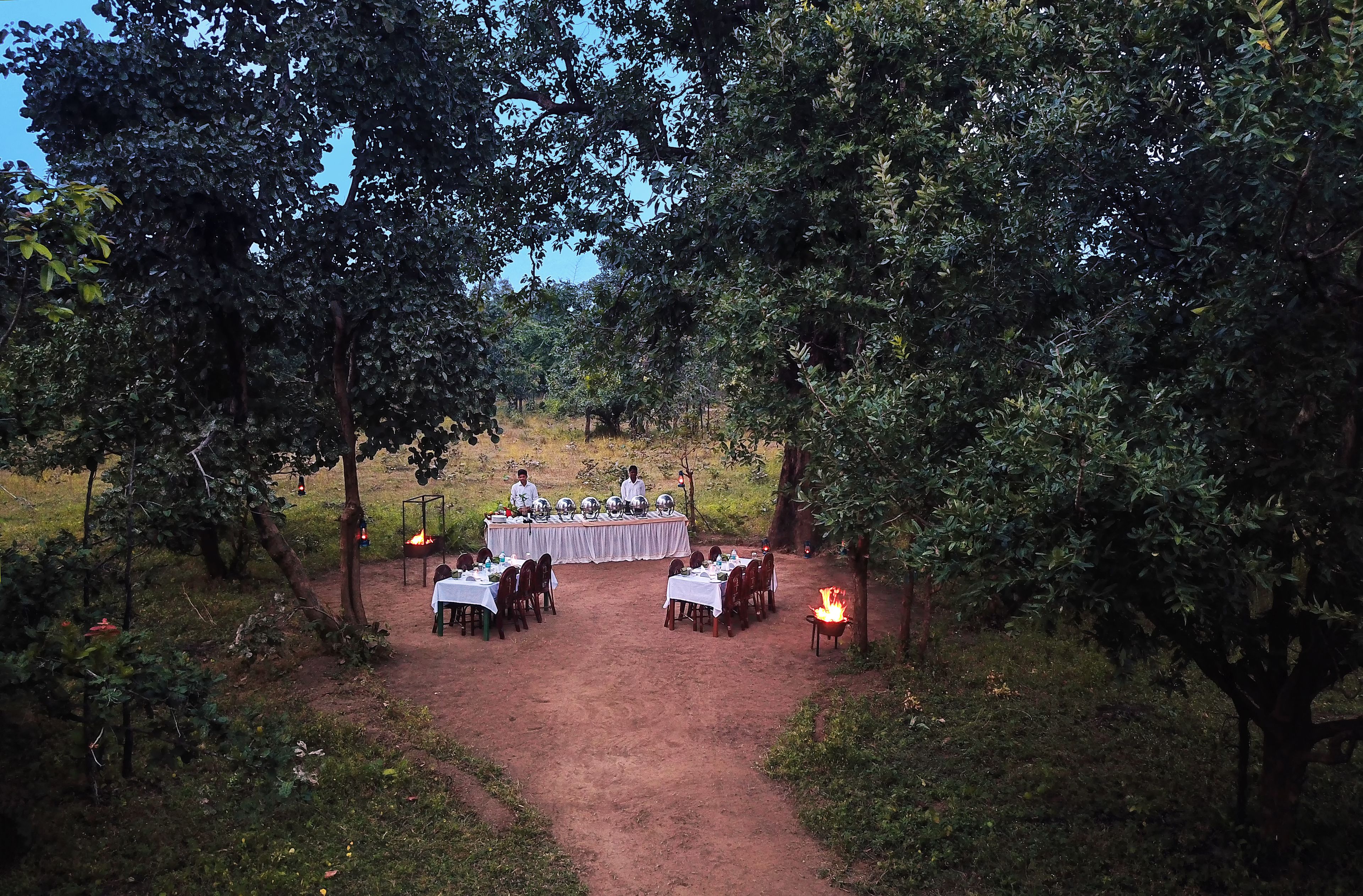 Un área de comedor al aire libre con mesas dispuestas bajo árboles, rodeada de vegetación natural.