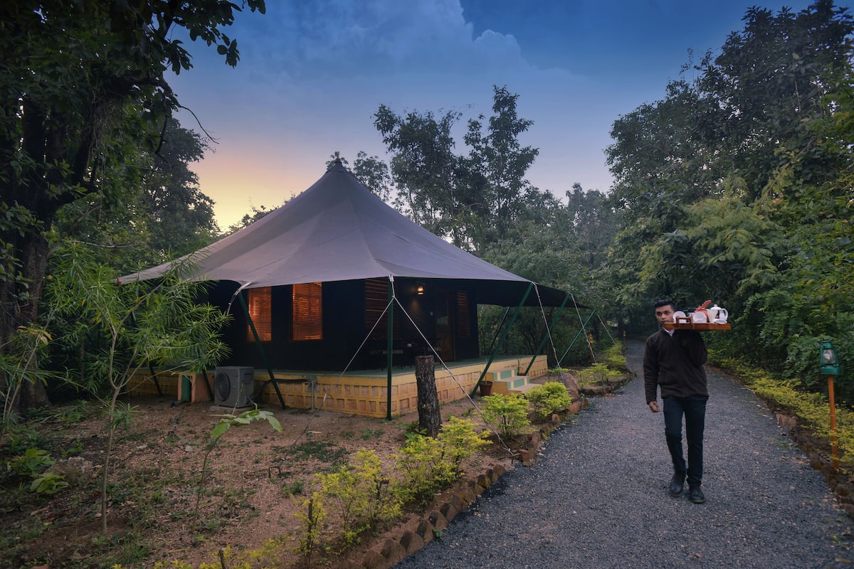 A tented accommodation with a gravel path leading to it, surrounded by dense greenery.