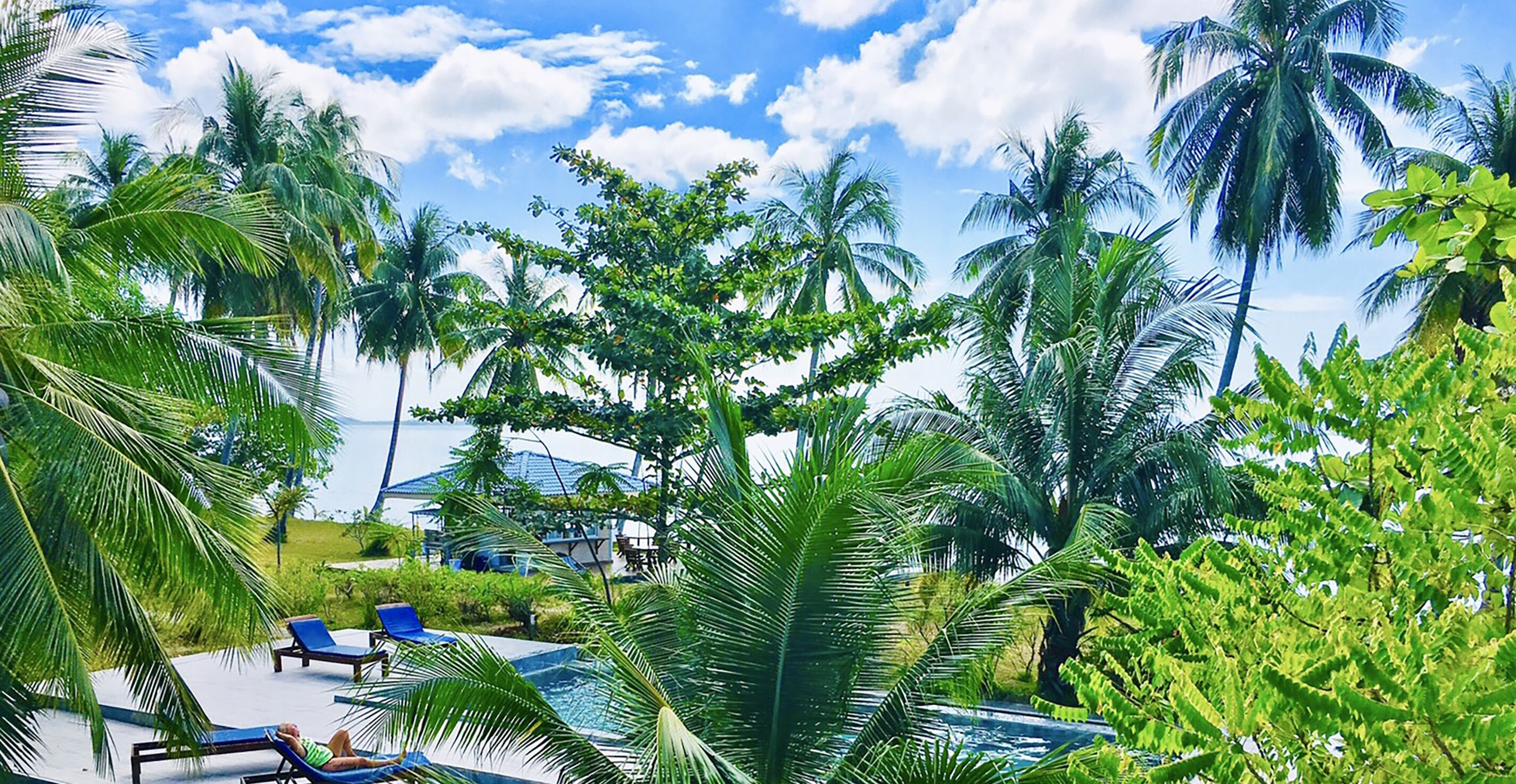 A pool area with lounge chairs, surrounded by palm trees and a clear sky.