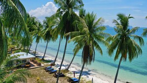 Un resort frente a la playa con palmeras, un área de piscina y vistas al océano.