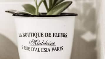 Una pianta in vaso con un'etichetta che riporta “LA BOUTIQUE DE FLEURS” e “Madeleine, 9 RUE D'AL ESIA PARIS”.