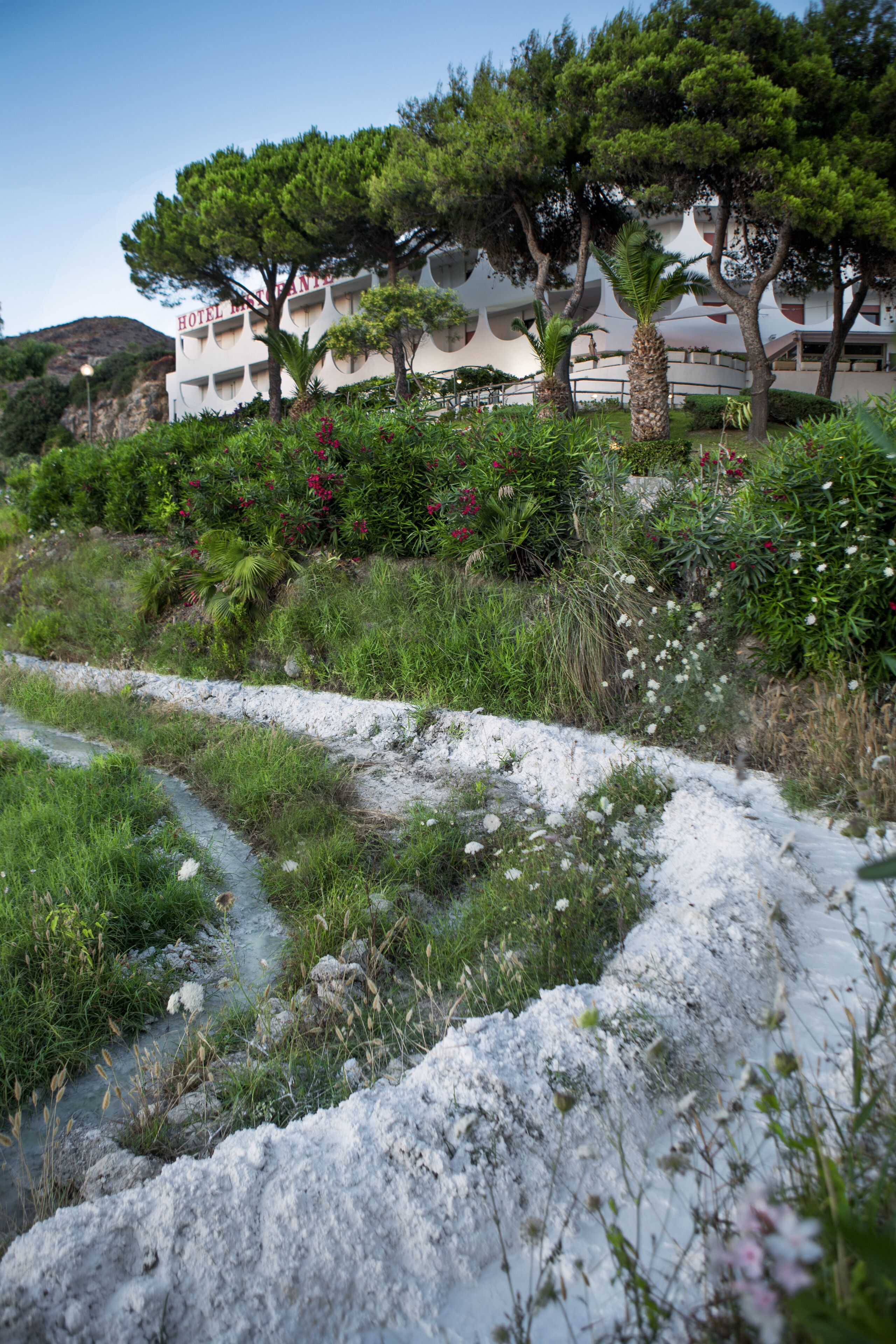 Ein Hotel in einer natürlichen Landschaft mit Bach und Vegetation.