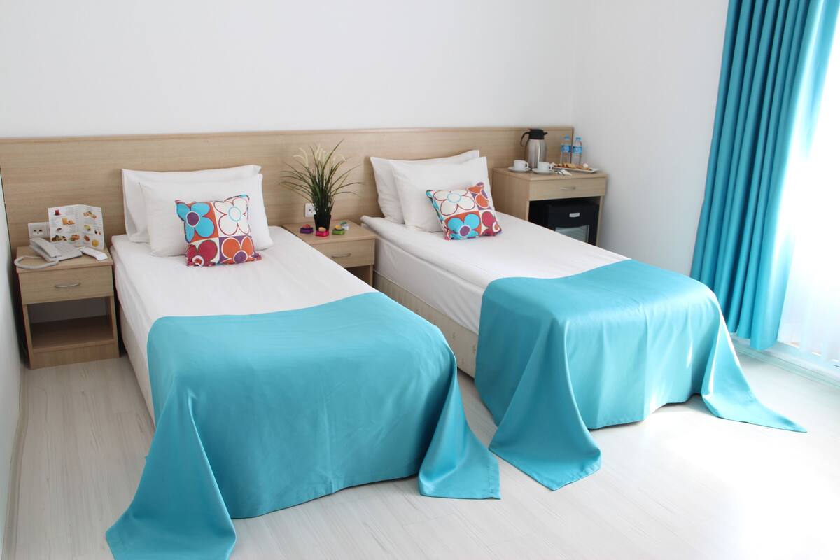 A hotel room with two beds, each with a blue bedspread and colorful pillows. There is a nightstand with a phone and a small plant.