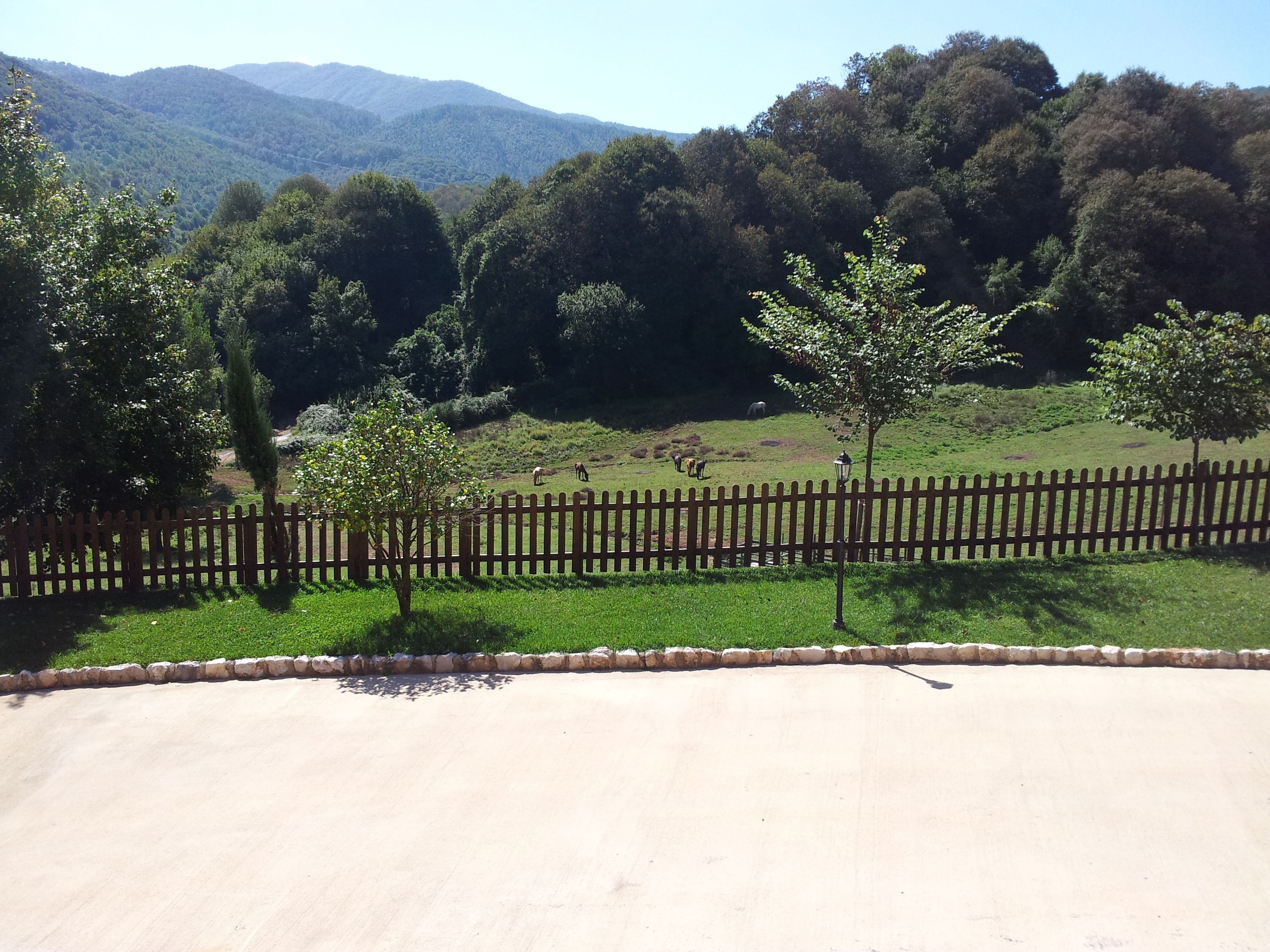 A paved area with a wooden fence, trees, and a grassy field with animals.