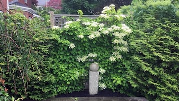 花園