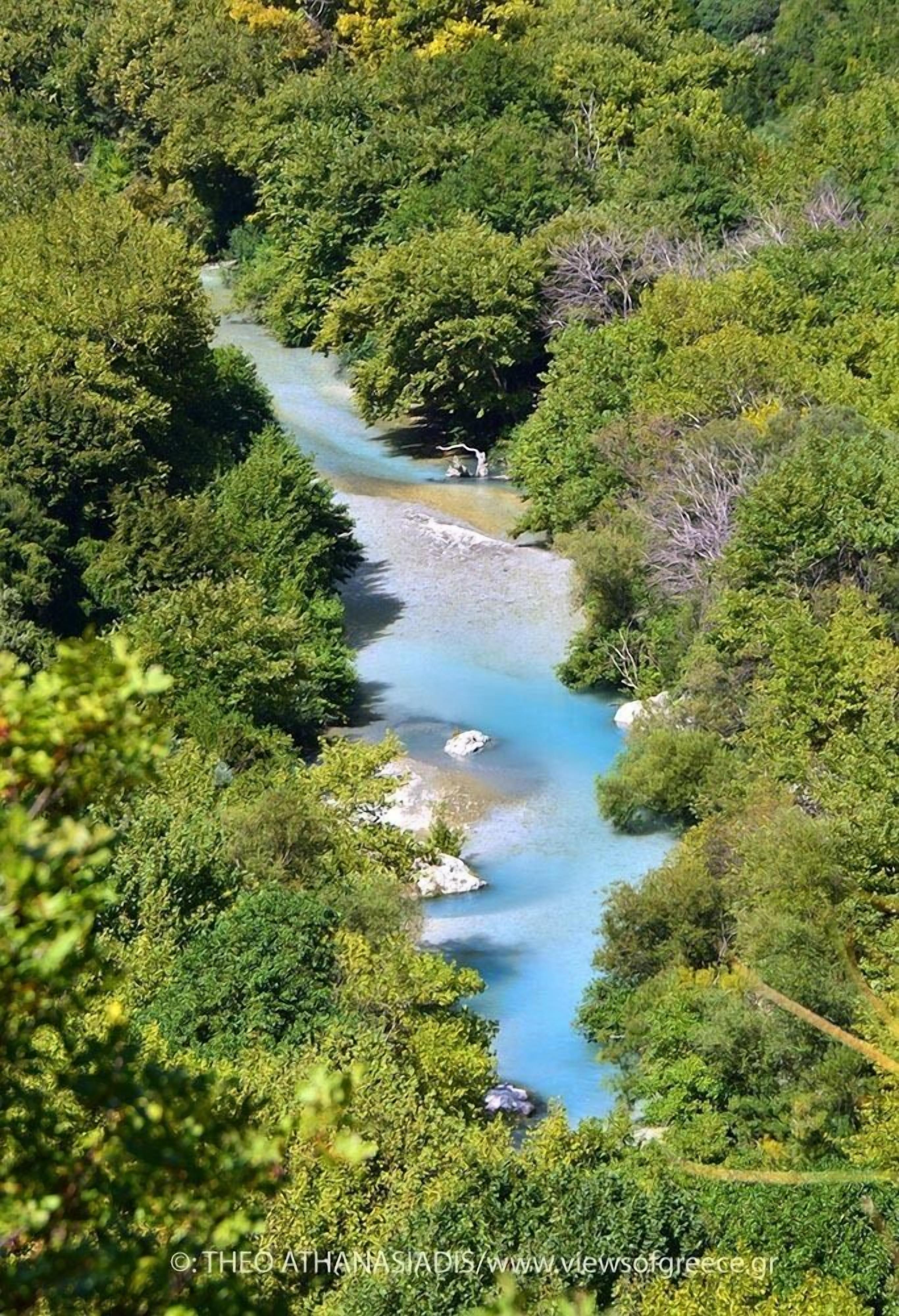 Un río serpenteando por una zona boscosa y densa.