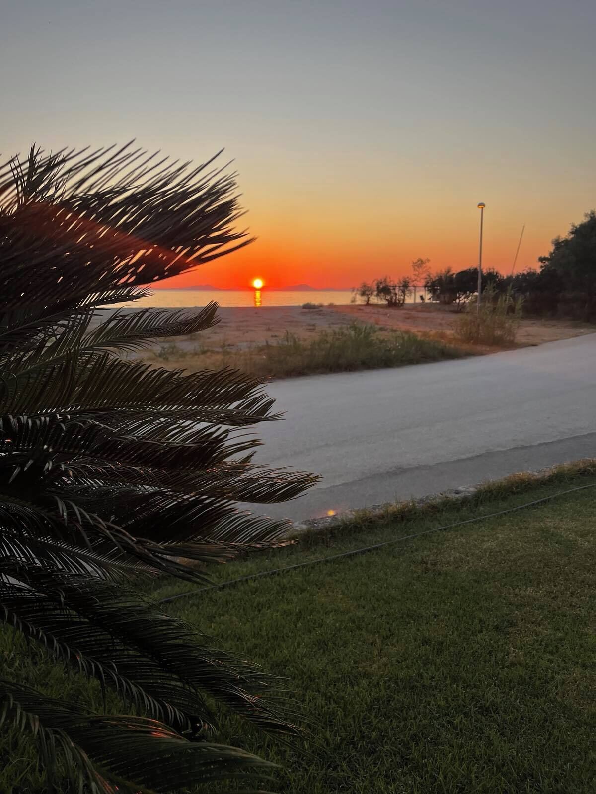 Un atardecer sobre una masa de agua, con una carretera y vegetación en primer plano.