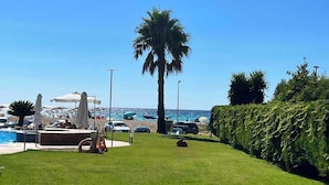Un césped cuidado con una palmera, una piscina y un seto.