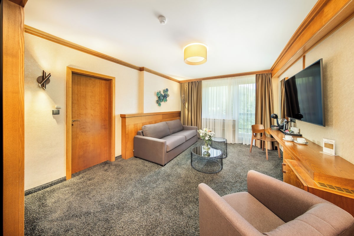 Suite | 2 habitaciones, minibar y caja de seguridad en la habitación