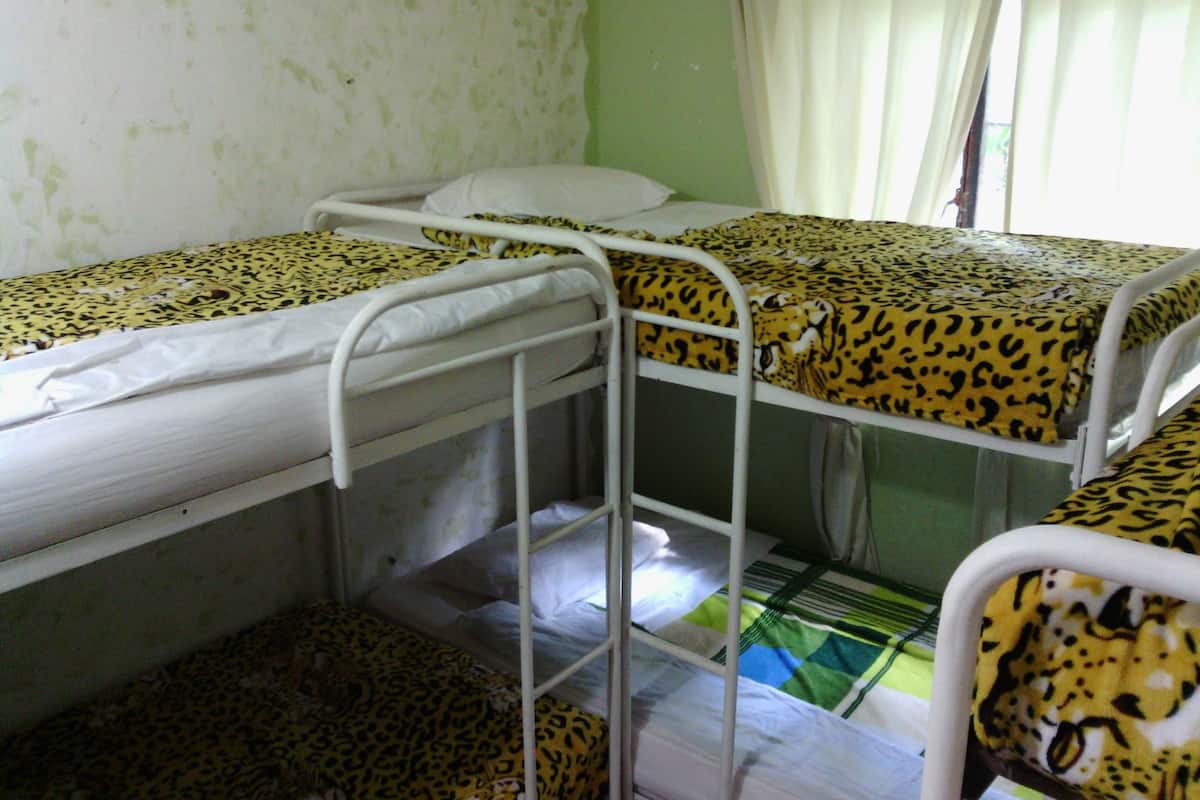 Iron/ironing board, rollaway beds, free WiFi