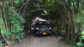 Free self-parking
