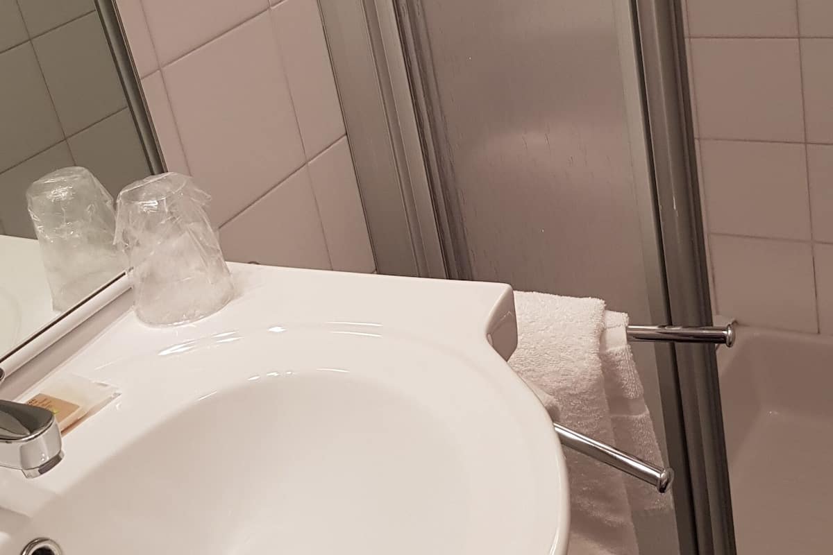 economy single room | bathroom amenities | shower, free toiletries, hair dryer, towels