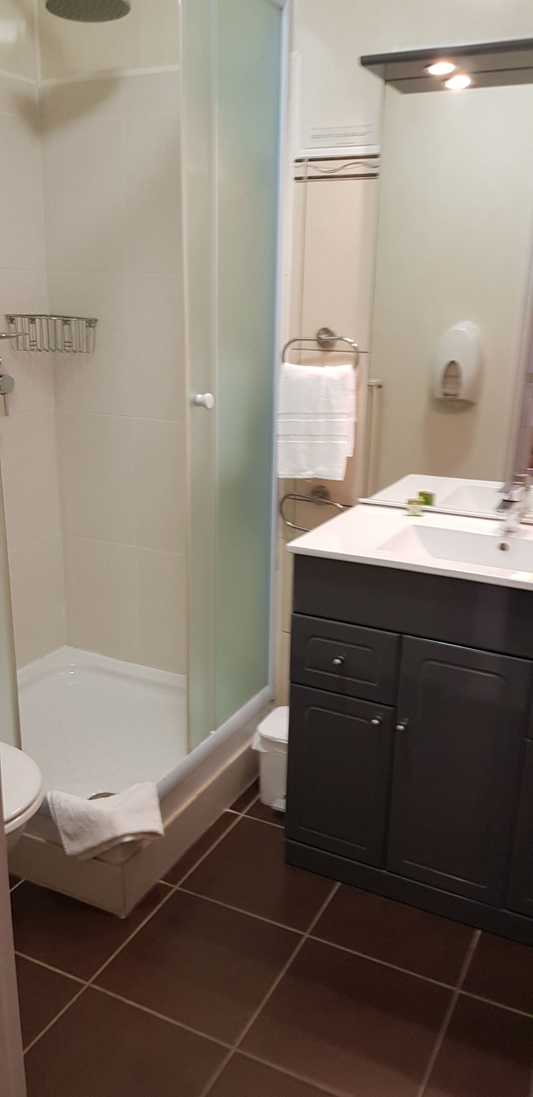 A bathroom with a shower, toilet, and vanity with a mirror.