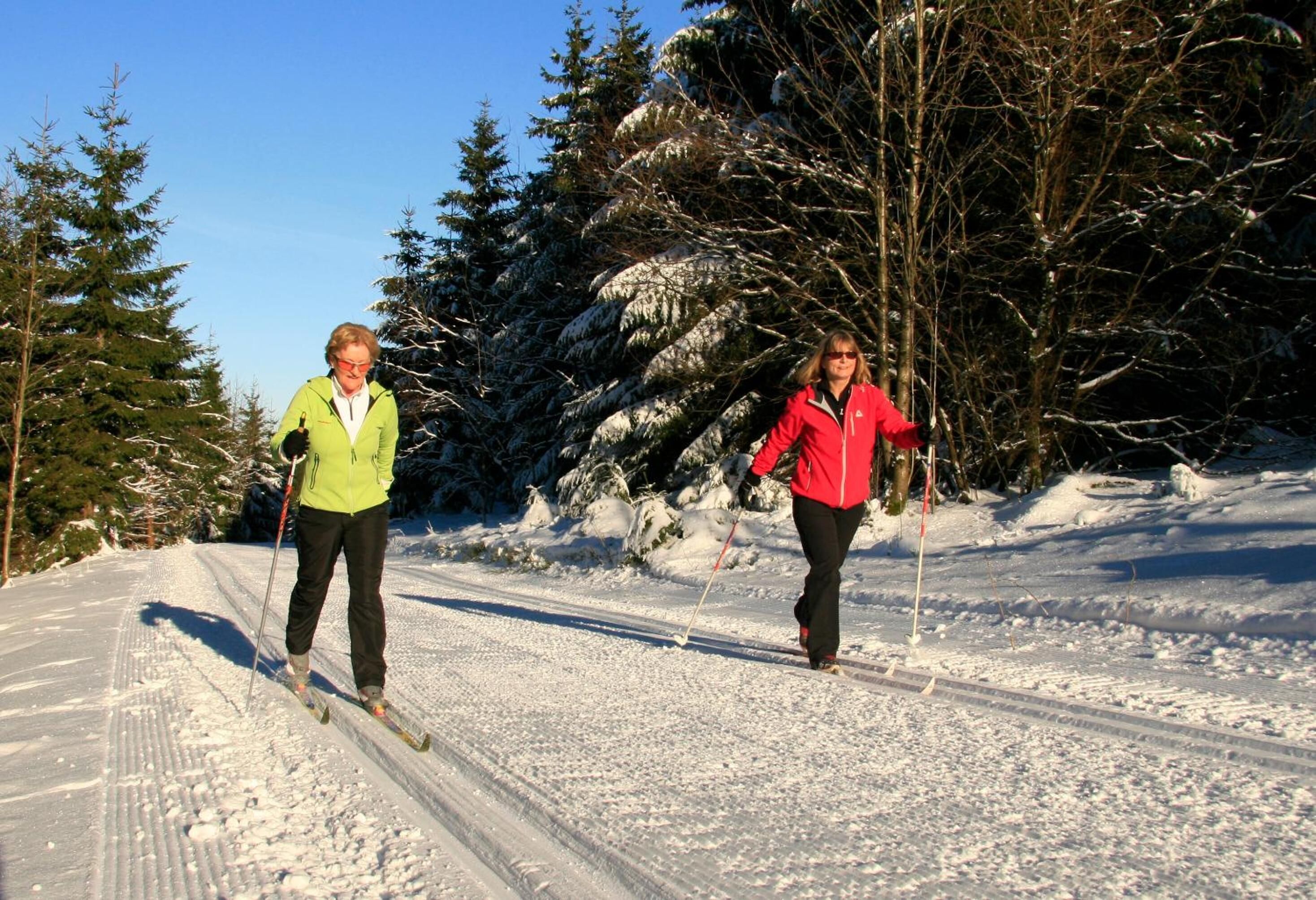Two people cross-country skiing on a snow-covered path surrounded by trees.