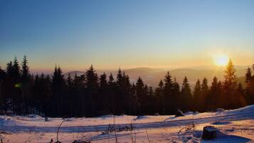 A snowy landscape with a clear sky and the sun setting or rising behind a forest.