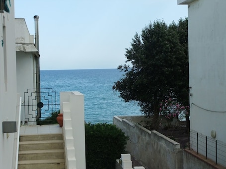 Detalle exterior