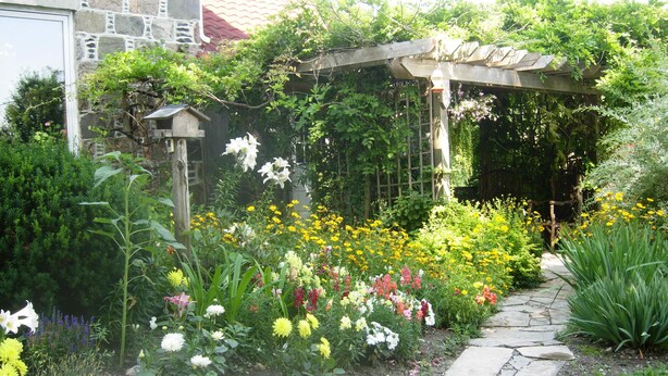 Un jardin agrémenté d’un chemin de pierres, d’une pergola en bois et de différentes plantes à fleurs.