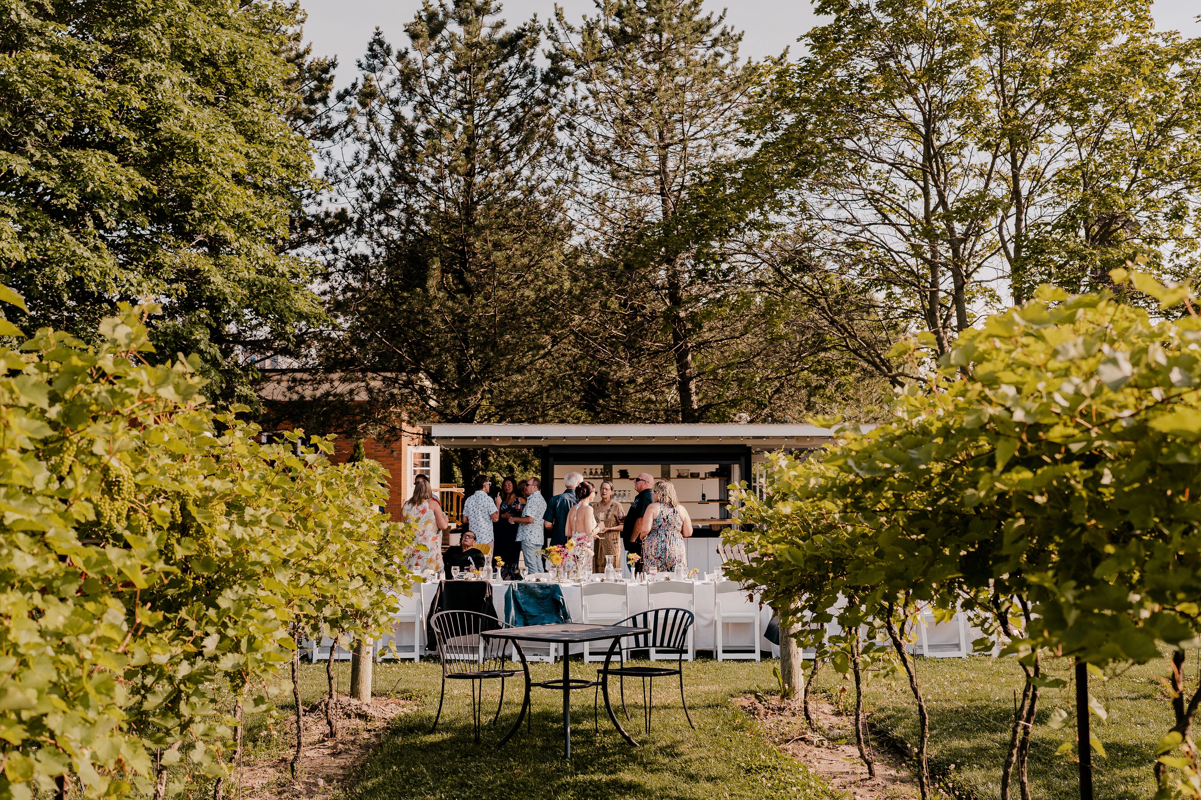 An outdoor event with tables and chairs set up in a garden area surrounded by trees.