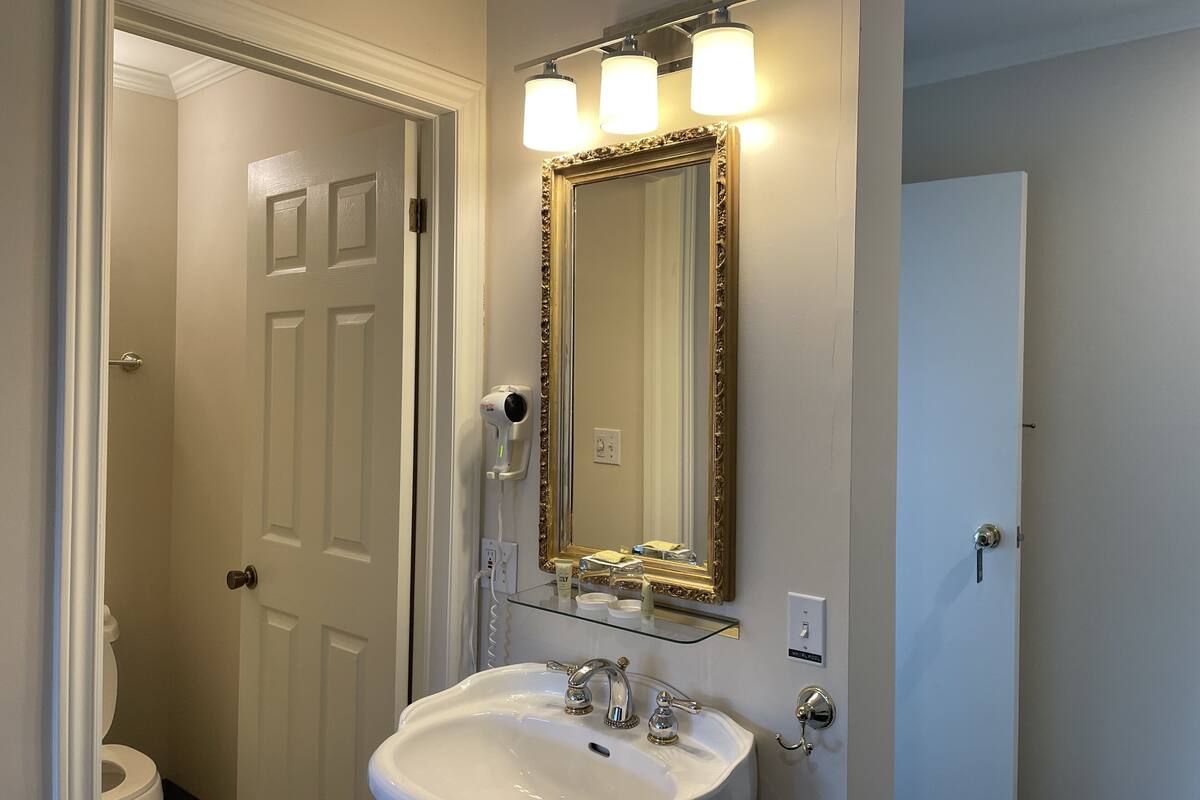 single room, 1 queen bed, jetted tub | bathroom | combined shower/bathtub, free toiletries, hair dryer, towels