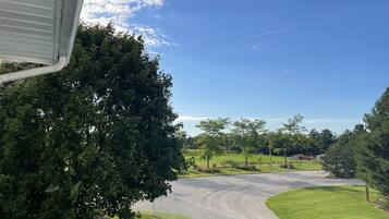 Vista de un camino residencial con un sendero de grava, rodeado de árboles y un área con césped.