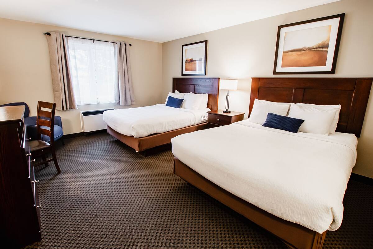 standard double room | 1 bedroom, premium bedding, desk, laptop workspace