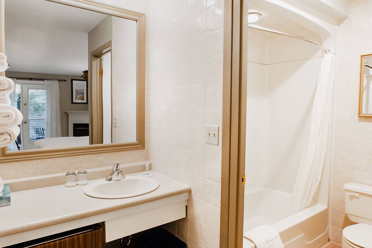 combined shower/bathtub, free toiletries, hair dryer, towels