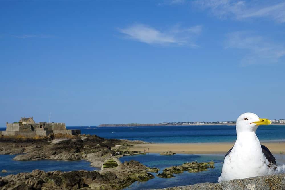 B&B HOTEL Saint-Malo Sud