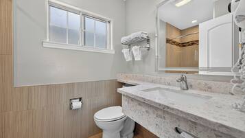 A modern bathroom with a toilet, sink, and mirror.