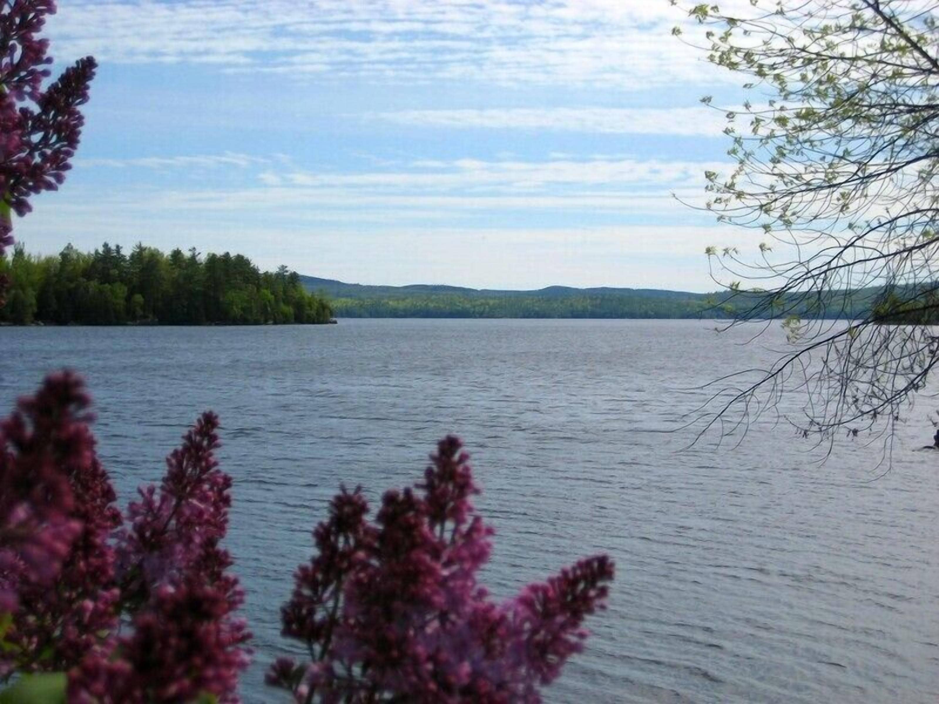Un lac bordé d’une forêt et entouré de collines lointaines.