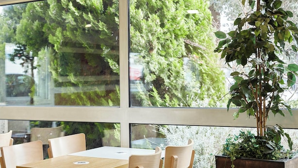 Comedor con mesa y sillas, ventanas amplias y una planta en maceta.