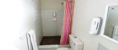 A small bathroom with a shower, toilet, and a soap dispenser.
