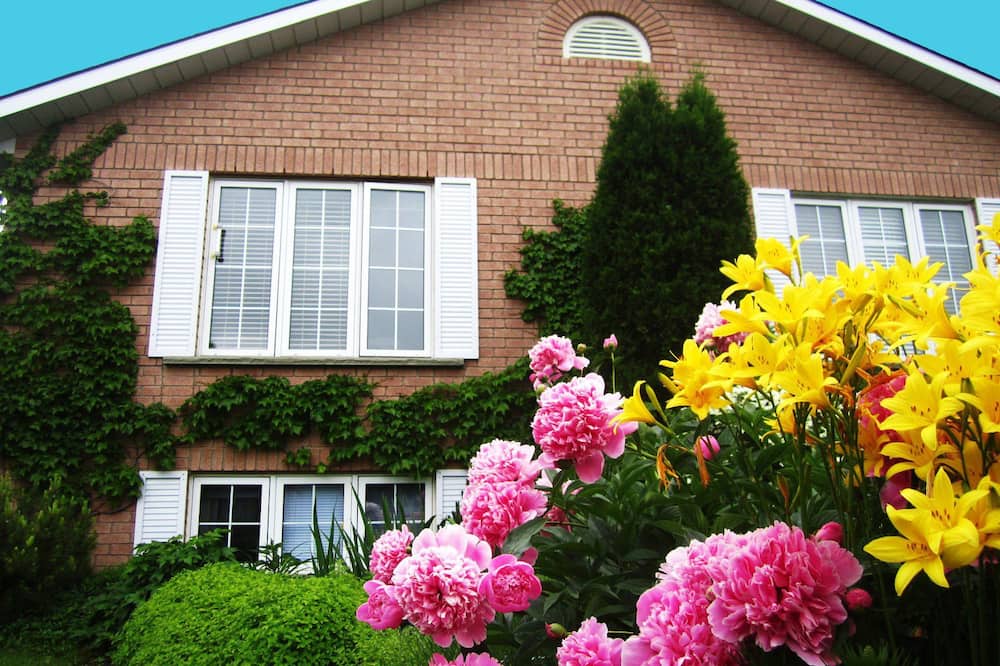 Opus 74 Bed & Breakfast