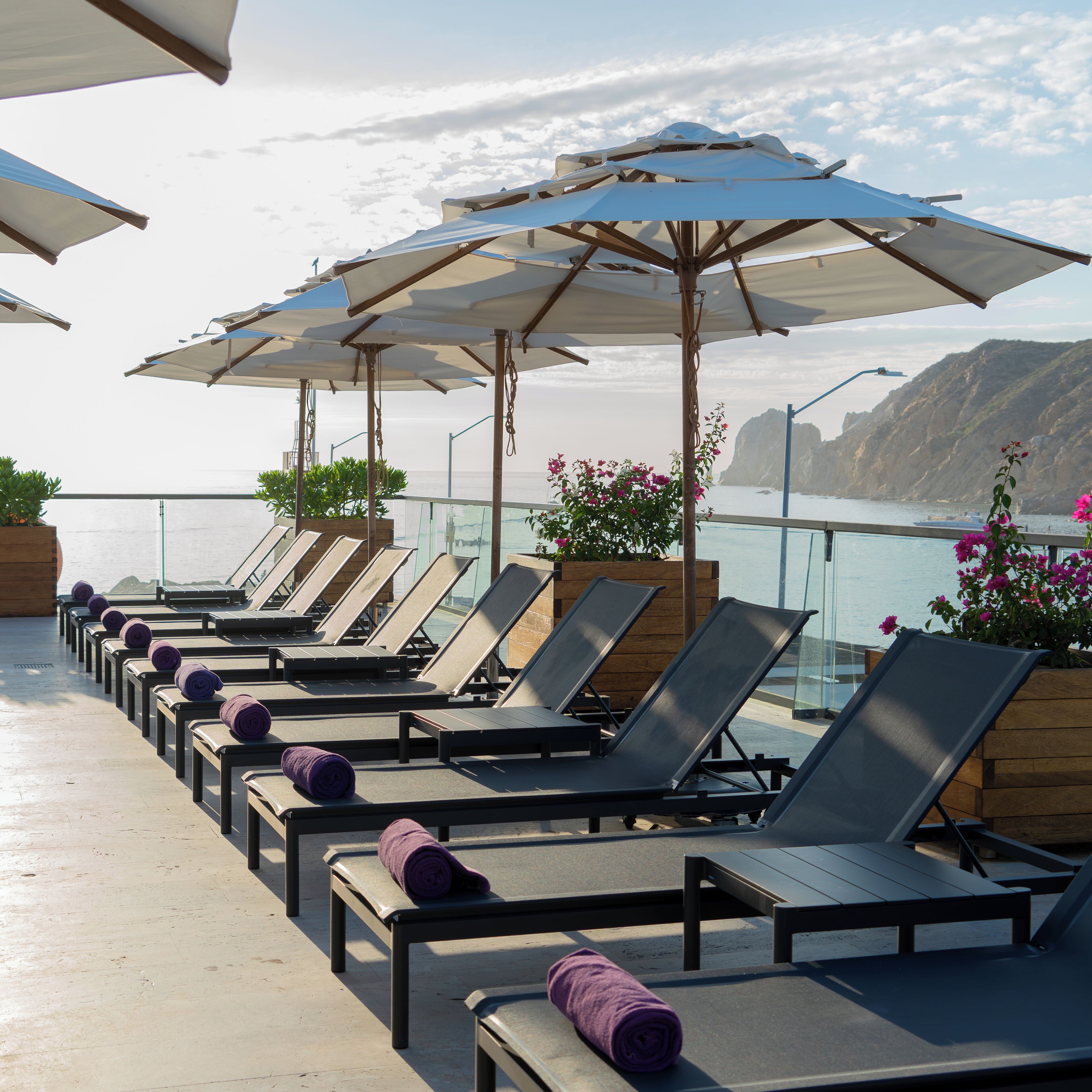 Terraza con sillones reclinables, sombrillas y plantas en macetas.