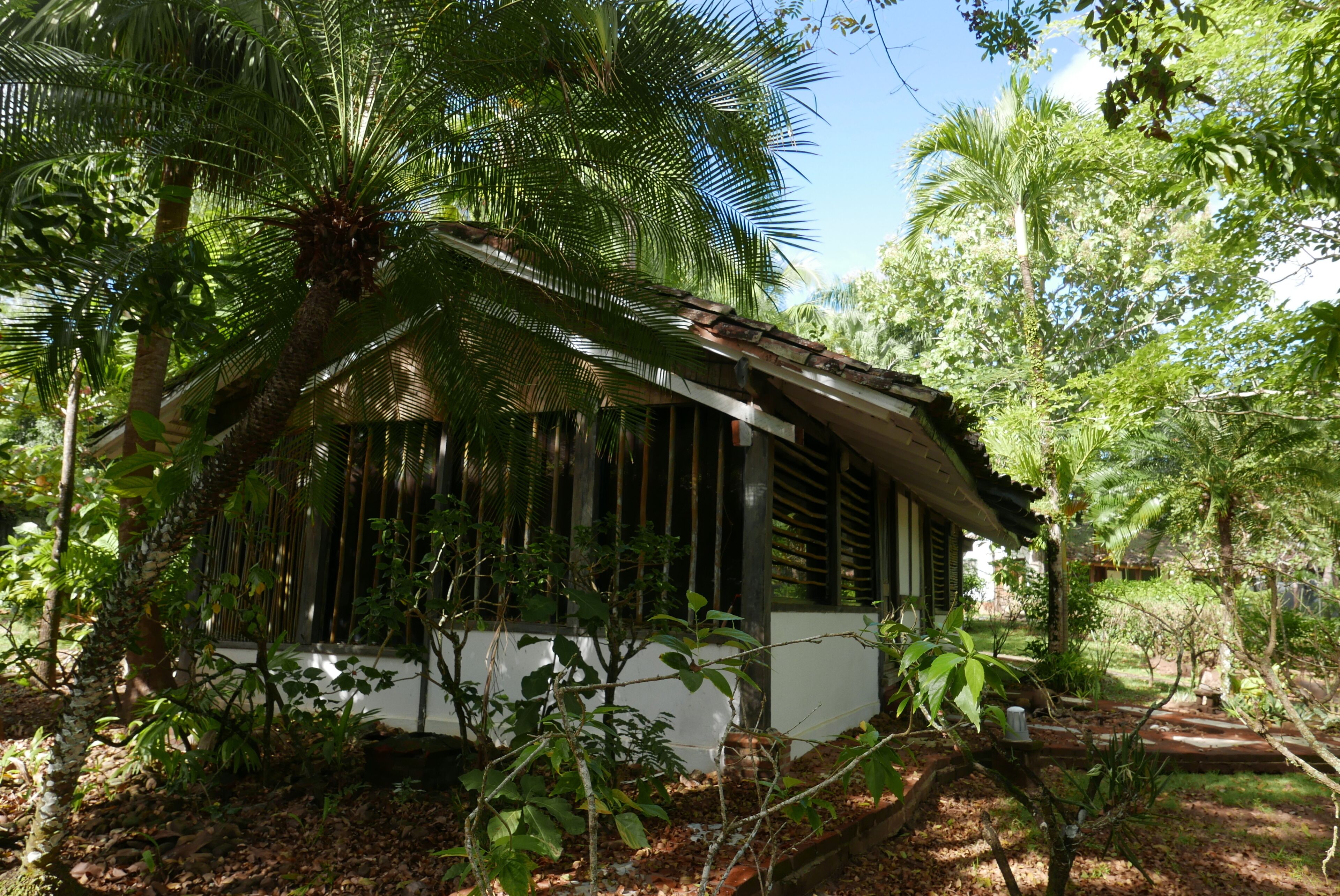 A rustic building with a sloped roof, surrounded by dense tropical vegetation.