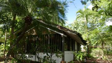 A rustic building with a sloped roof, surrounded by dense tropical vegetation.