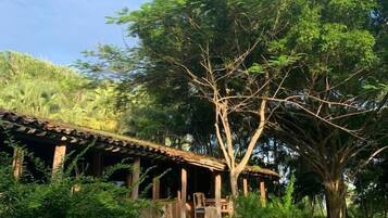 Une construction rustique en bois, dotée d’un toit de chaume, entourée d’une végétation luxuriante et d’un grand arbre.