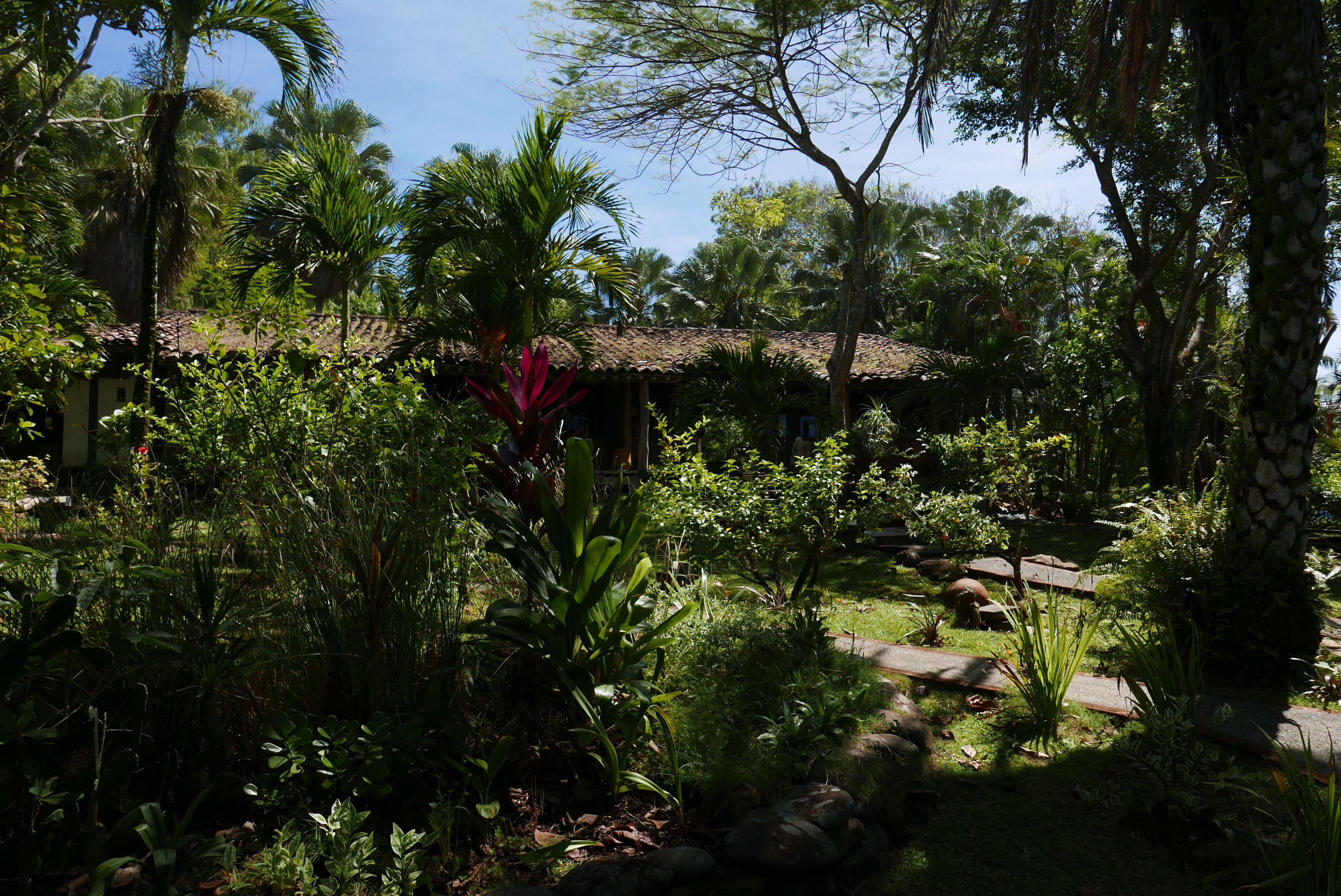 A lush garden with a variety of plants and a rustic building with a tiled roof.