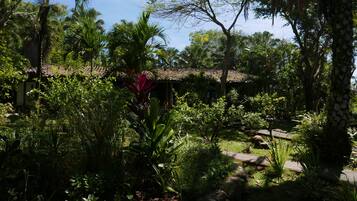 A lush garden with a variety of plants and a rustic building with a tiled roof.