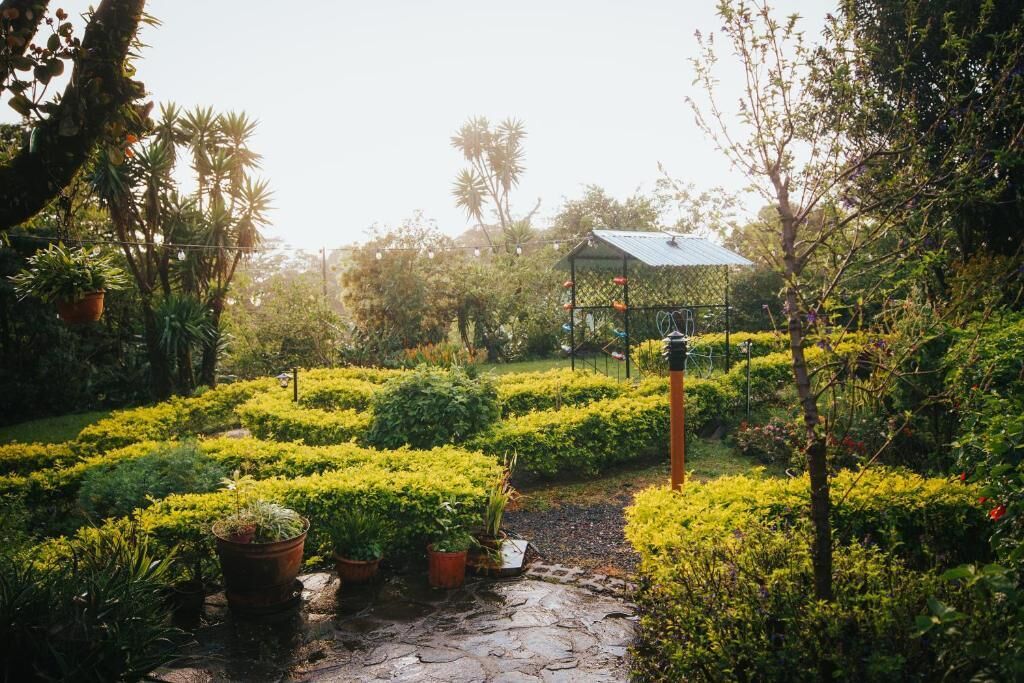 A garden with a stone pathway, potted plants, and a greenhouse structure.