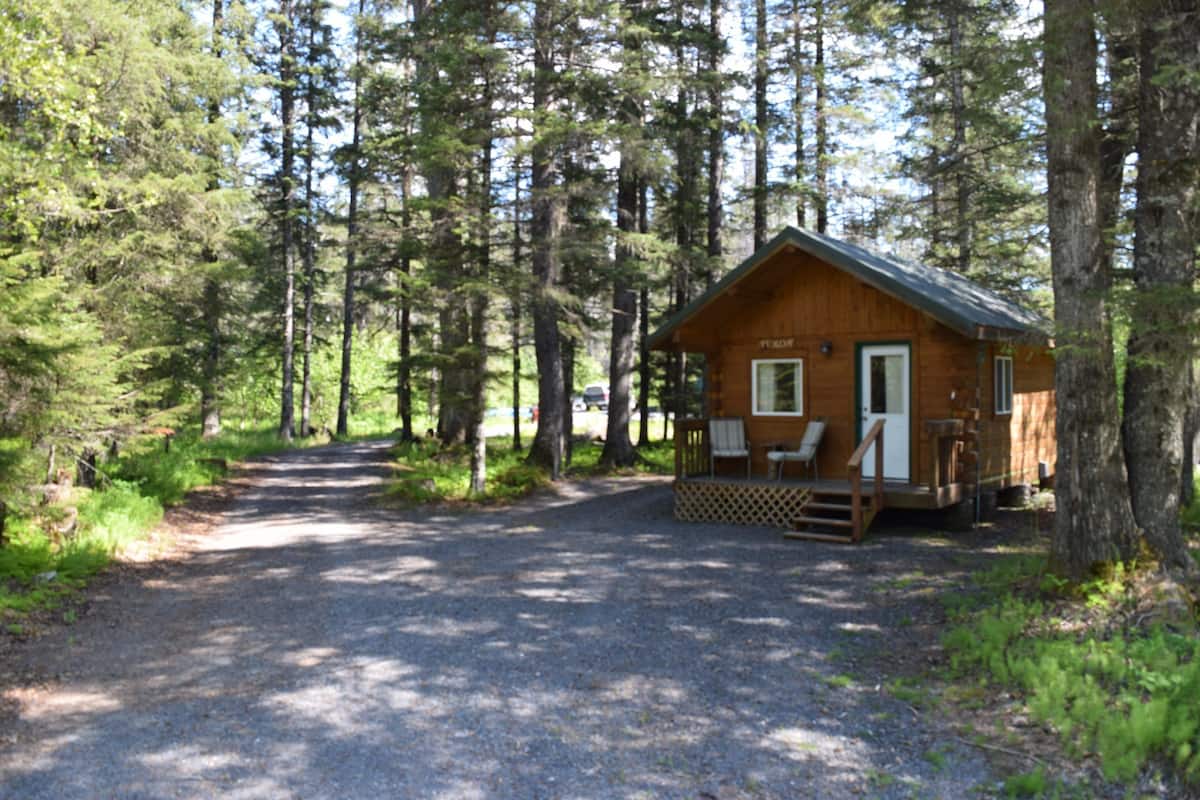 A cabin with a porch, surrounded by tall trees and a gravel path leading to it.