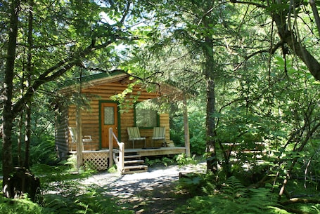 Spring Cabin (Shared Restroom) | Premium bedding, individually decorated, individually furnished