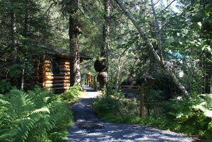 Burl Cabin (Shared Restroom) | 高档床上用品、特色装修、特色家居、遮光窗帘