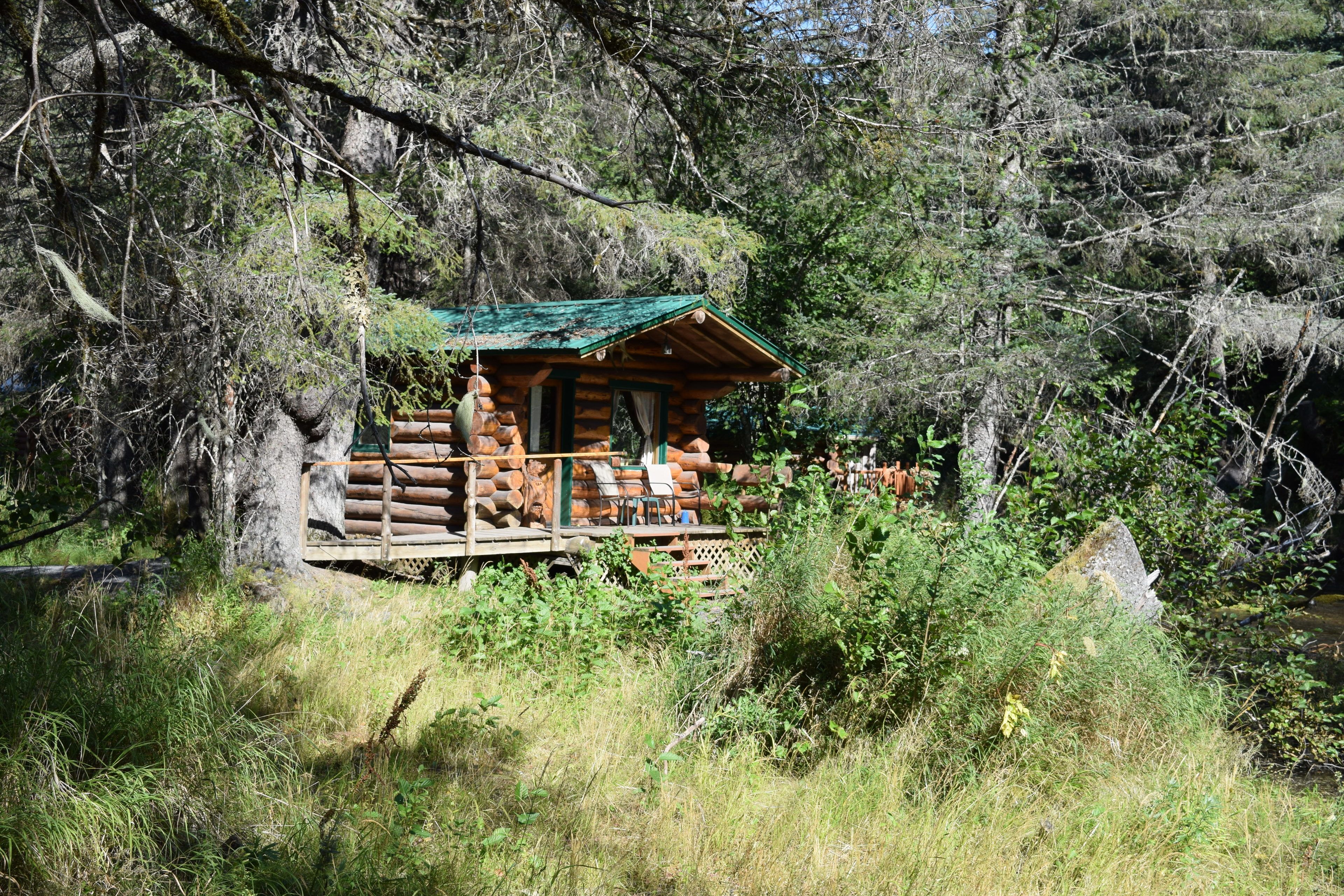 A rustic log cabin with a green roof, surrounded by dense forest.