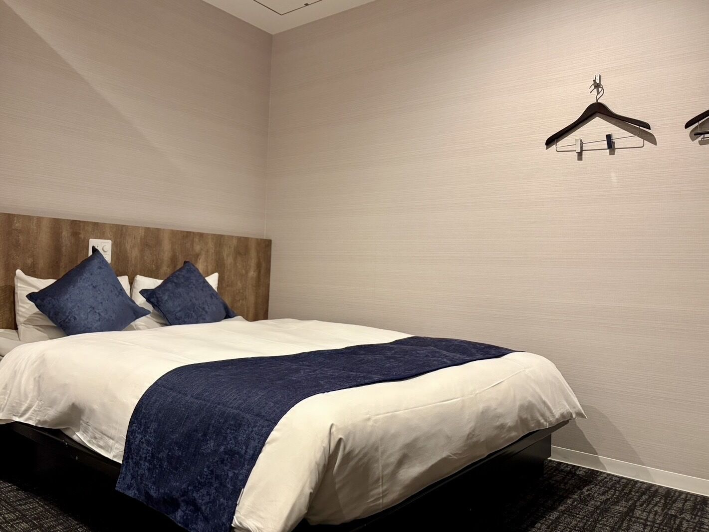 A hotel room with a bed, a headboard, a wall-mounted hanger, and a carpeted floor.