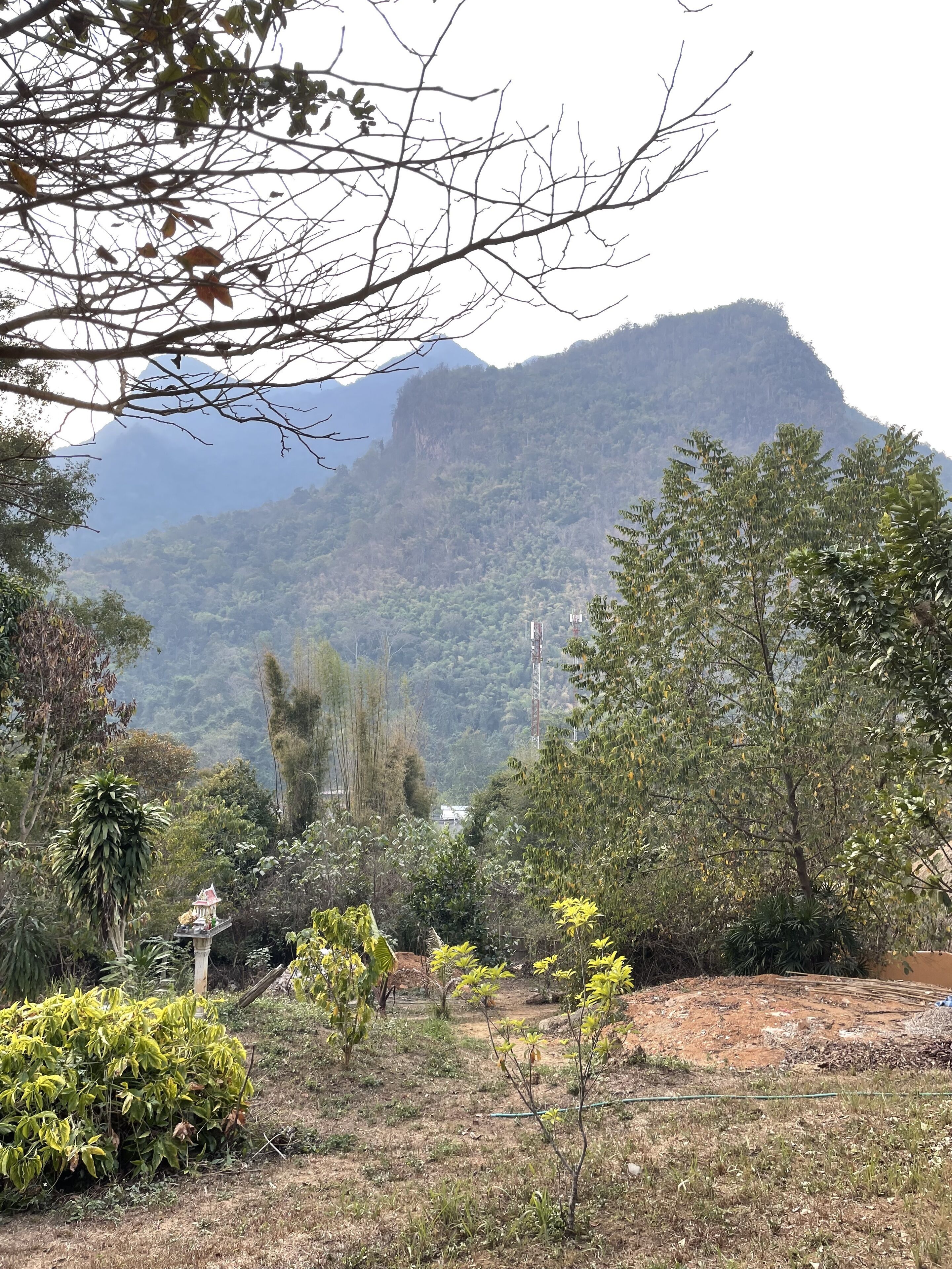 Un paisaje montañoso con denso bosque y variada vegetación.