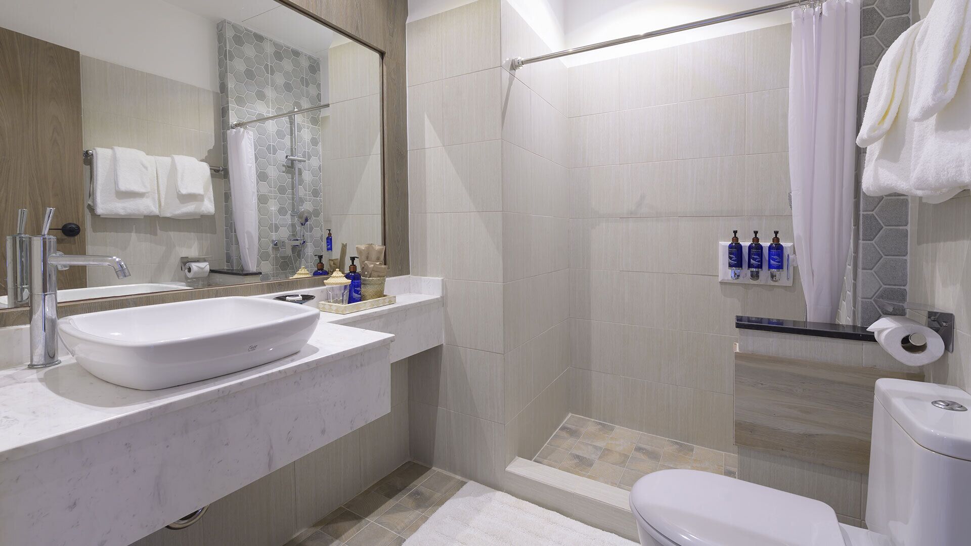 A modern bathroom with a large white sink, a glass shower enclosure, and a toilet.