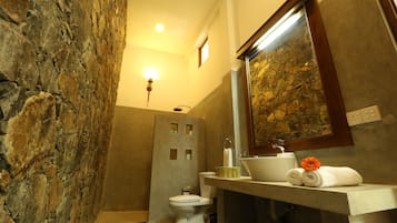 Shower, free toiletries, hair dryer, towels